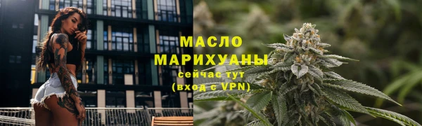 гашик Бородино