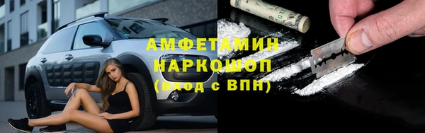 гашик Бородино