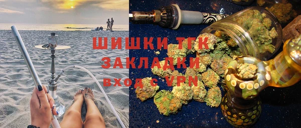 гашик Бородино