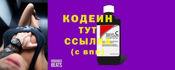гашик Бородино
