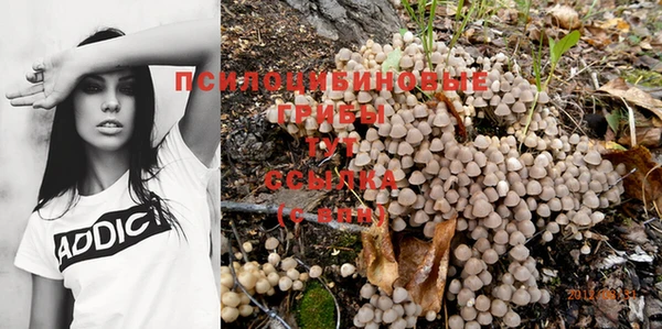 гашик Бородино