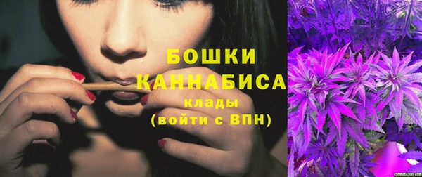 гашик Бородино