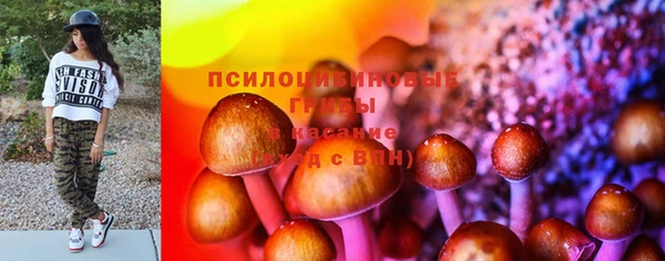 гашик Бородино
